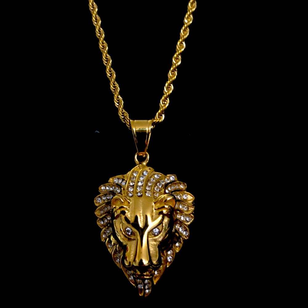 Lion Stainless Steel Pendant with Chain